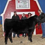 2013 Canadian Bull Congress Bullnanza Pick; PED 140Z.  Congratulations to Nathan Braun