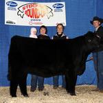 PED 3U Reserve Champion Bred Heifer, Stockade Roundup.